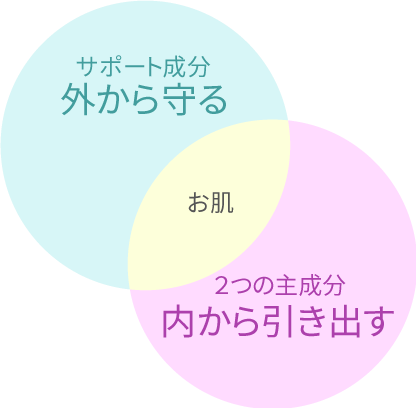 お肌を内から引き出す2つの主成分と、外から守るサポート成分